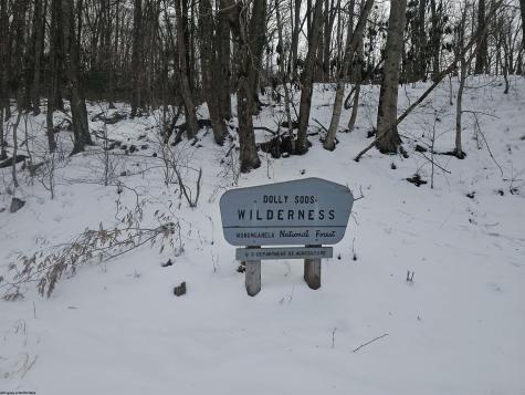 390 Dolly Lane Dryfork WV 26263