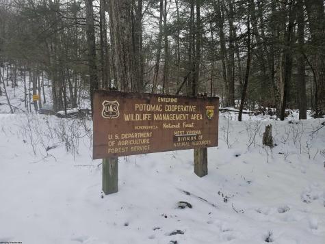 390 Dolly Lane Dryfork WV 26263