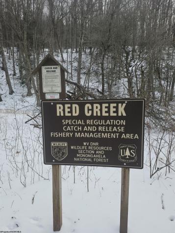 390 Dolly Lane Dryfork WV 26263