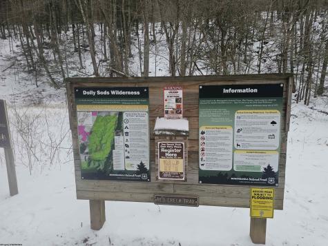 390 Dolly Lane Dryfork WV 26263