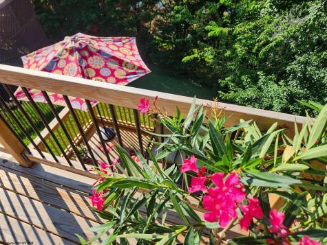 5 Monument Lane Morgantown WV 26508