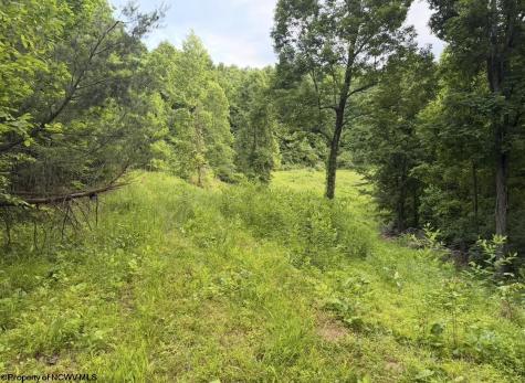 2309 Sassafras Road Weston WV 26452