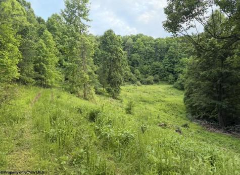 2309 Sassafras Road Weston WV 26452