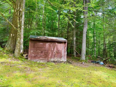 19 Trout Place Sub Road Bowden WV 26254-0000