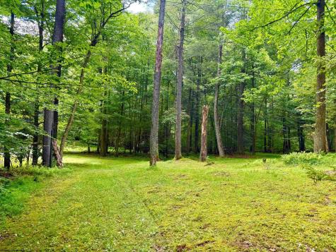 19 Trout Place Sub Road Bowden WV 26254-0000