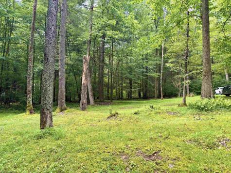 19 Trout Place Sub Road Bowden WV 26254-0000