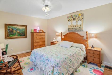 28 Pancake Lane Davis WV 26260
