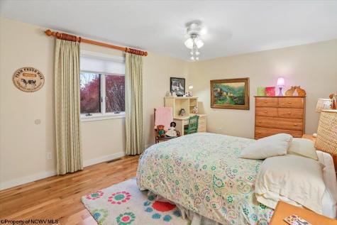 28 Pancake Lane Davis WV 26260