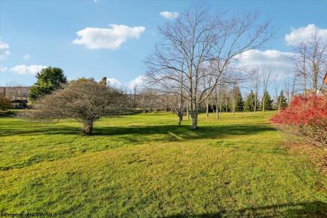 28 Pancake Lane Davis WV 26260