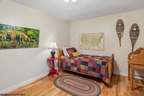 28 Pancake Lane Davis WV 26260
