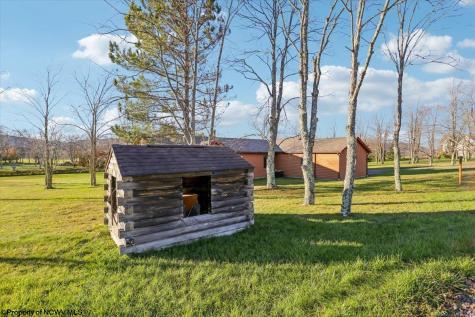28 Pancake Lane Davis WV 26260
