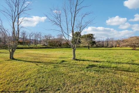 28 Pancake Lane Davis WV 26260