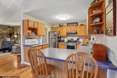 28 Pancake Lane Davis WV 26260