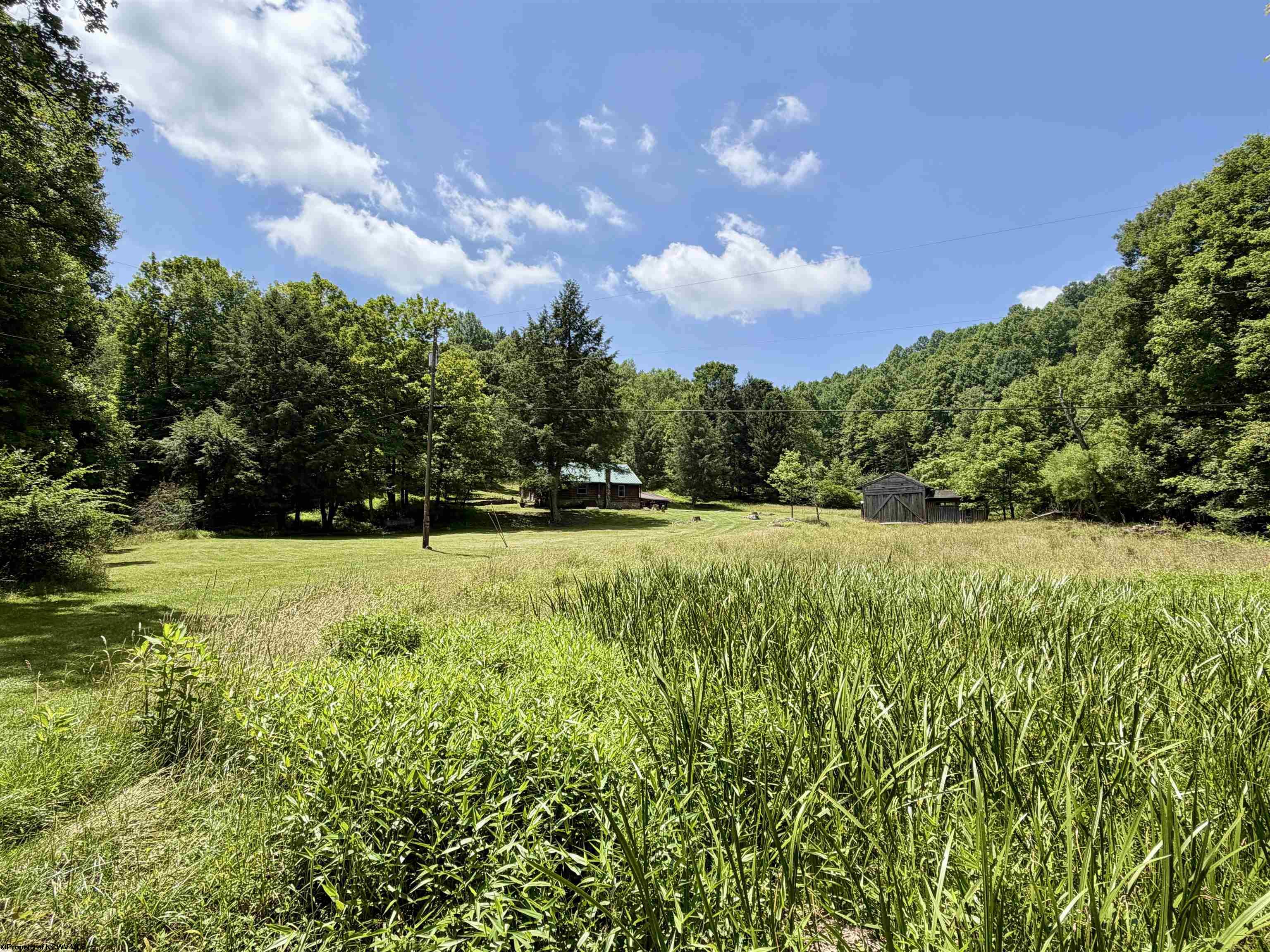 0 Canaan Road Rock Cave WV 26234