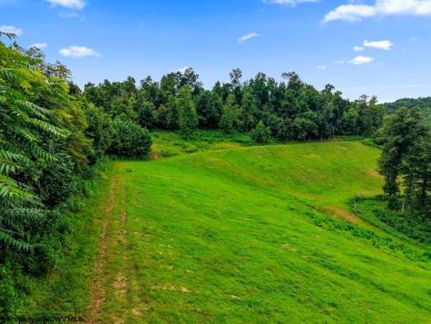 421 Buckeye Road Horner WV 26372