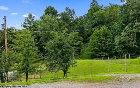 421 Buckeye Road Horner WV 26372