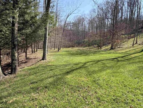 3940 Buckhannon Pike Coalton WV 26257