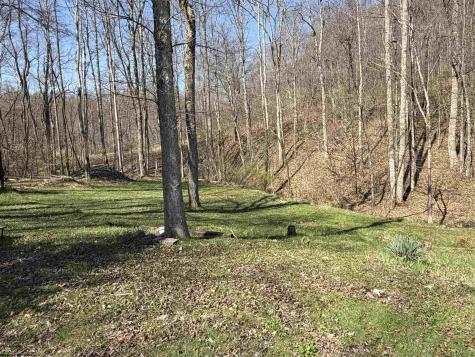 3940 Buckhannon Pike Coalton WV 26257
