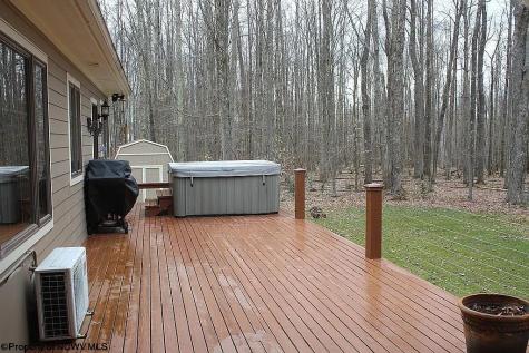 464 Maple Avenue Davis WV 26260-0000