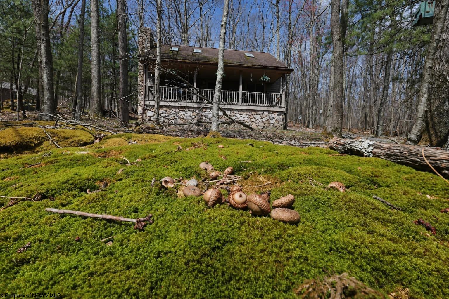 347 Windflower Drive Terra Alta WV 26764