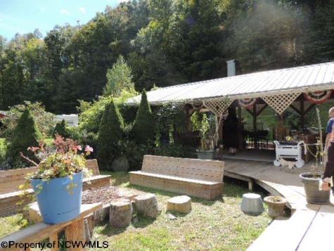 463 Slab Camp Road Independence WV 26374