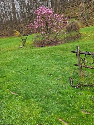 463 Slab Camp Road Independence WV 26374
