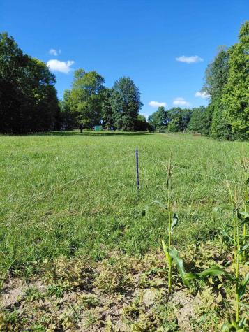 463 Slab Camp Road Independence WV 26374