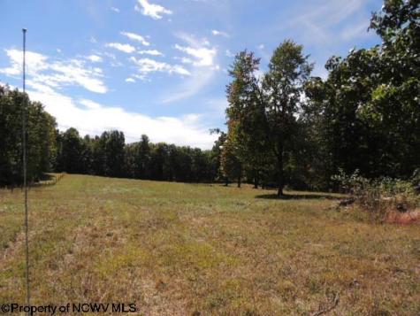 463 Slab Camp Road Independence WV 26374