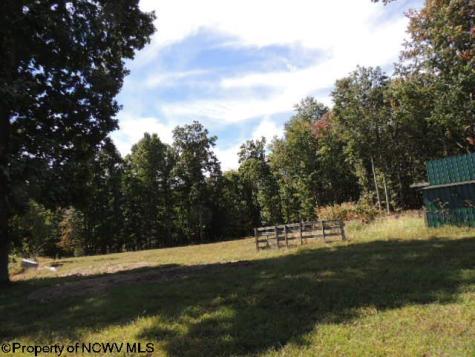 463 Slab Camp Road Independence WV 26374
