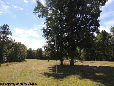 463 Slab Camp Road Independence WV 26374