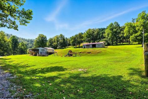 650 Sam Cavins Road West Union WV 26456