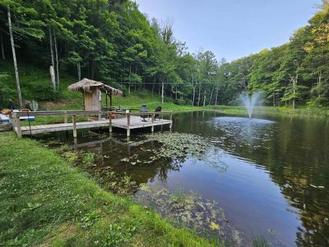 133 Forest Lane Mannington WV 26582