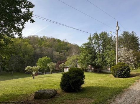133 Forest Lane Mannington WV 26582