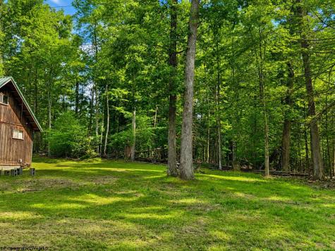 29 Castle Road Mount Nebo WV 26679