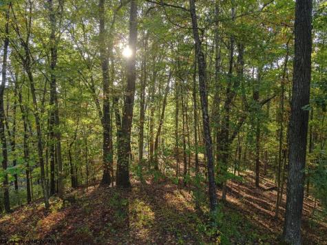 332 Timberbrook Lane Bridgeport WV 26330