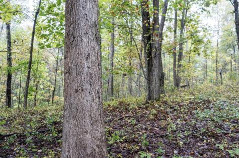 332 Timberbrook Lane Bridgeport WV 26330