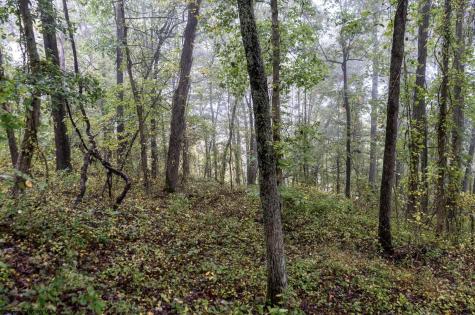 332 Timberbrook Lane Bridgeport WV 26330