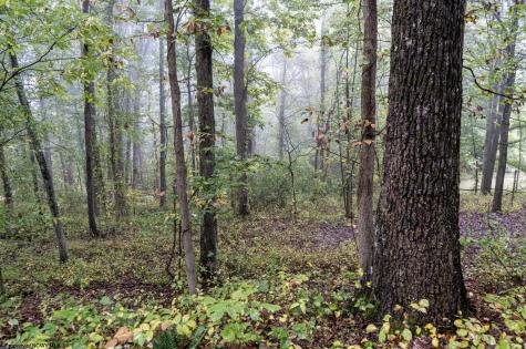 332 Timberbrook Lane Bridgeport WV 26330