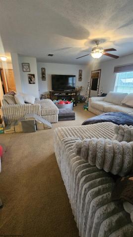 139 Broad Run Road Jane Lew WV 26378