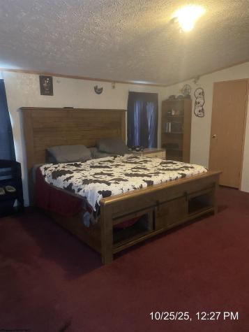 390 Hog Heaven Farm Road Philippi WV 26408