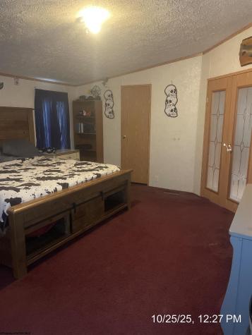 390 Hog Heaven Farm Road Philippi WV 26408