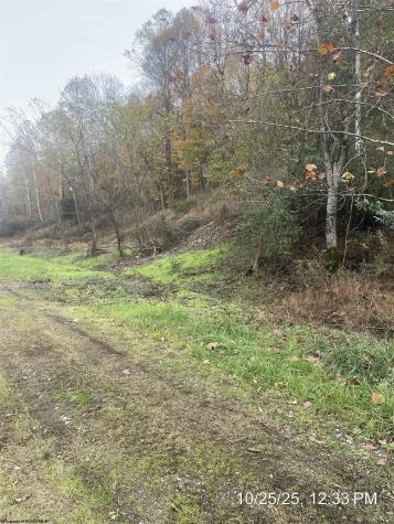 390 Hog Heaven Farm Road Philippi WV 26408