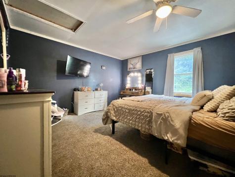 10915 Old Elkins Road Ellamore WV 26267