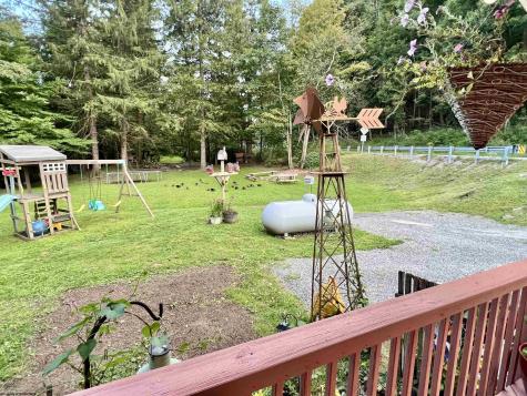 10915 Old Elkins Road Ellamore WV 26267