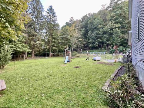 10915 Old Elkins Road Ellamore WV 26267