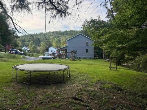 10915 Old Elkins Road Ellamore WV 26267
