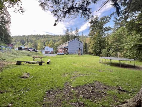 10915 Old Elkins Road Ellamore WV 26267