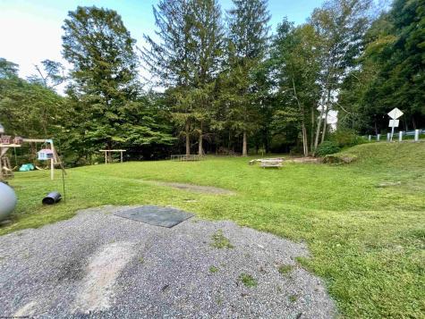 10915 Old Elkins Road Ellamore WV 26267