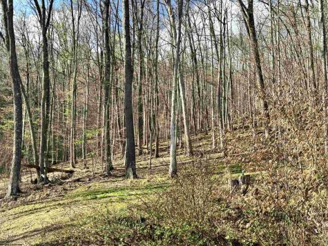 1021 Clover Run Road Montrose WV 26283