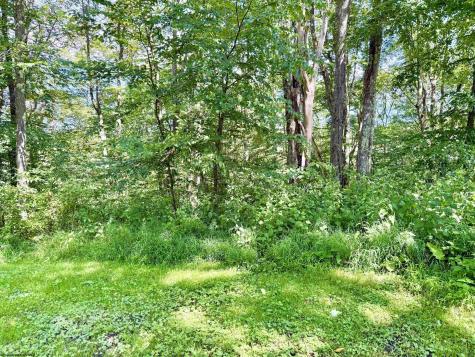 112 Hillside Drive Thomas WV 26292-0000